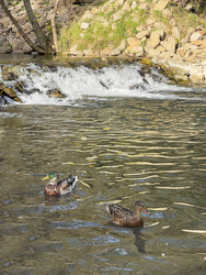 Similar image 22249192