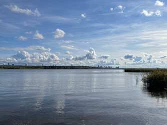 Similar image 22249203