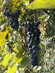 Similar image 22249204