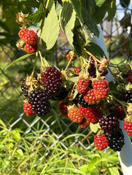 Similar image 22249205