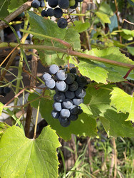 Similar image 22249206