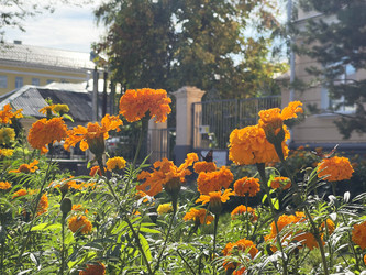 Similar image 22249207