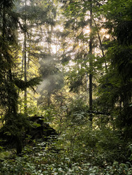 Similar image 22249213