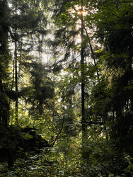 Similar image 22249214