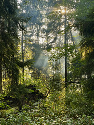 Similar image 22249215