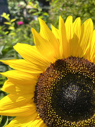 Similar image 22249228