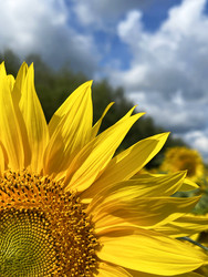 Similar image 22249230