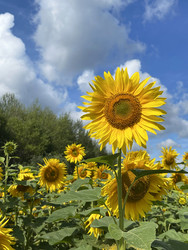 Similar image 22249231