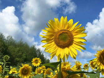 Similar image 22249232