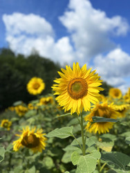 Similar image 22249233