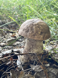 Similar image 22249234