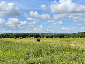 Similar image 22249235