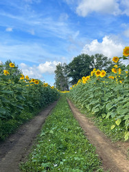 Similar image 22249237