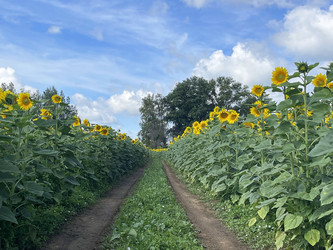 Similar image 22249238