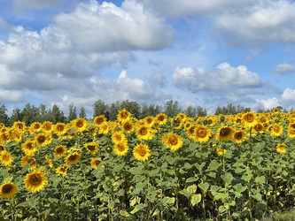 Similar image 22249240