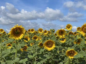 Similar image 22249241