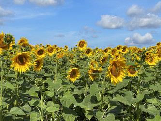 Similar image 22249242