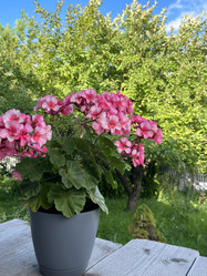 Similar image 22249244