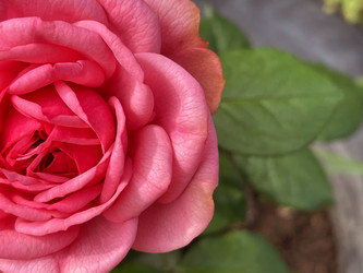 Similar image 22249249