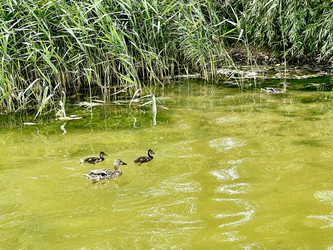 Similar image 22249255