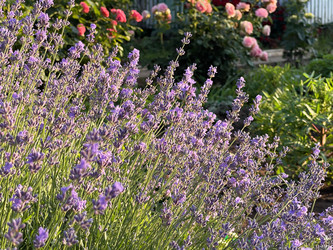 Similar image 22249276