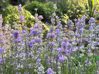 Similar image 22249277