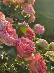 Similar image 22249280