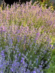 Similar image 22249281