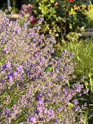 Similar image 22249286