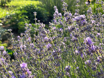 Similar image 22249287