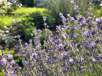 Similar image 22249288