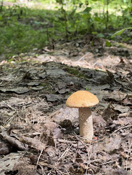 Similar image 22249289