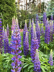 Similar image 22249302