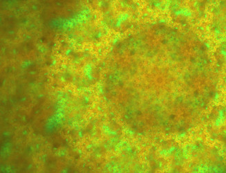 Similar image 22280359