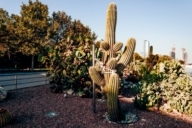 Similar image 22256137