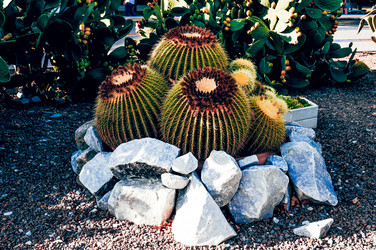 Similar image 22256138