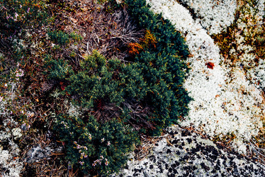 Similar image 22256139