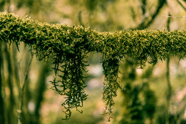 Similar image 22256140