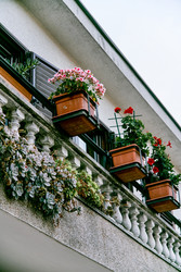 Similar image 22266603