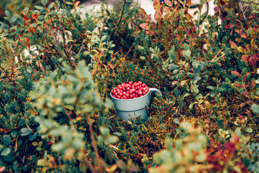 Similar image 22266604