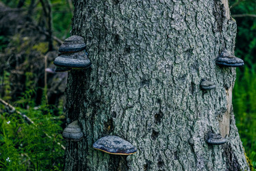 Similar image 22266813