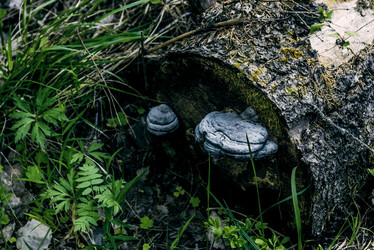 Similar image 22266814