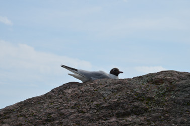 Similar image 22285040