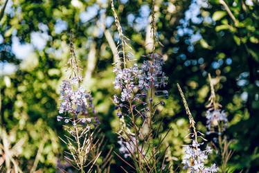 Similar image 22266815