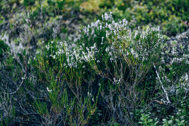 Similar image 22266816