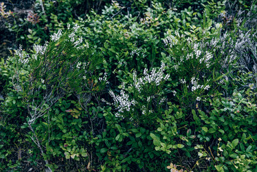 Similar image 22266817