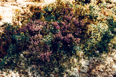 Similar image 22266818