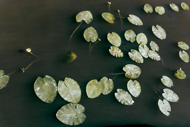 Similar image 22266820