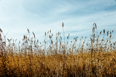 Similar image 22266822