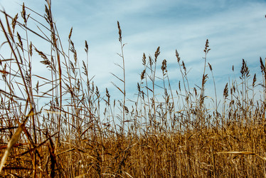 Similar image 22266823